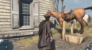 horse glitch