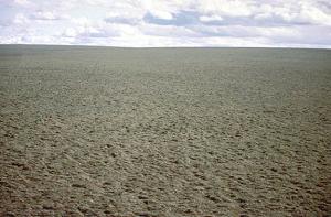 The coastal plains of the ANWR nature preserve