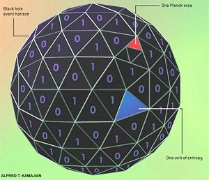 Entropy on the surface of a black hole