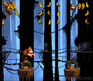 Donkey Kong Country