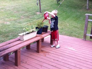 Tommy gardening