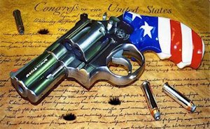 A gun and the Constitution