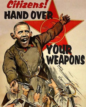 Obama gun confiscation poster