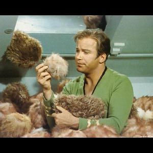 TOS: The Trouble with Tribbles