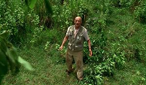 Screenshot from 'Walkabout'